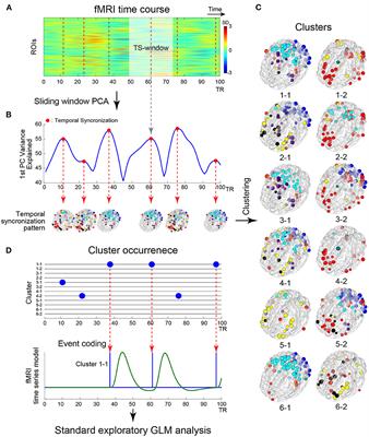 A method for reconstruction of interpretable brain networks from transient synchronization in resting-state BOLD fluctuations